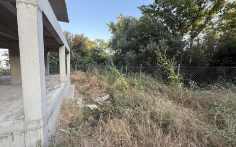 BUILDING_1_GARDEN